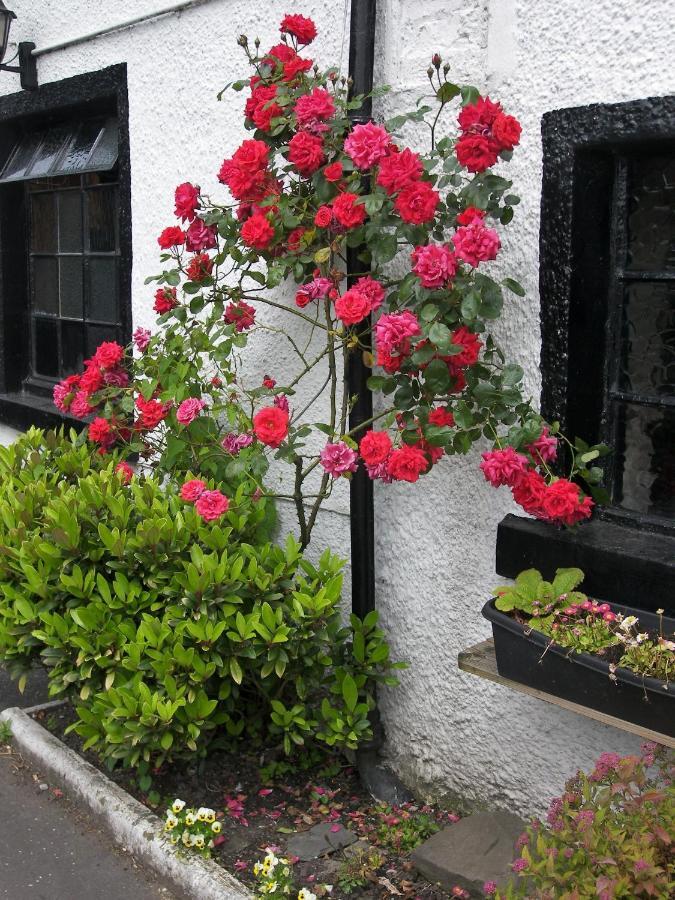 Lion And Unicorn Hotel Thornhill  Eksteriør bilde